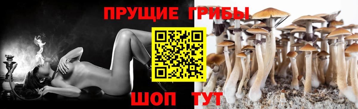 Псилоцибиновые грибы Magic Shrooms  Галлюциногенные грибы Psilocybine cubensis  Вход с VPN  Нижнеудинск 