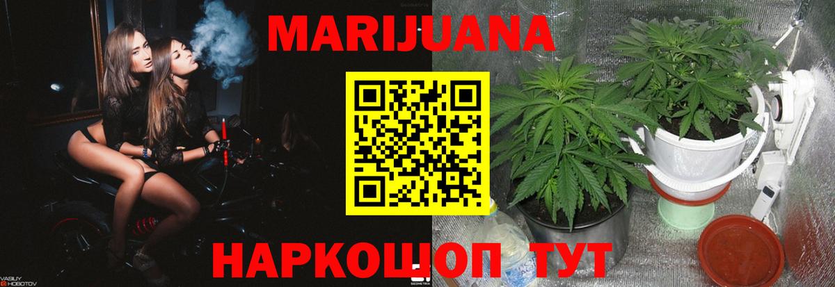 Бошки марихуана ГИДРОПОН Нижнеудинск